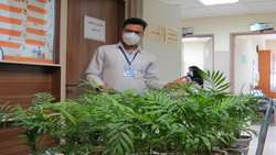 استقبال از بهار در بیمارستان استهبان