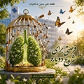 دخانیات و سلامت؛ آنچه باید بدانیم