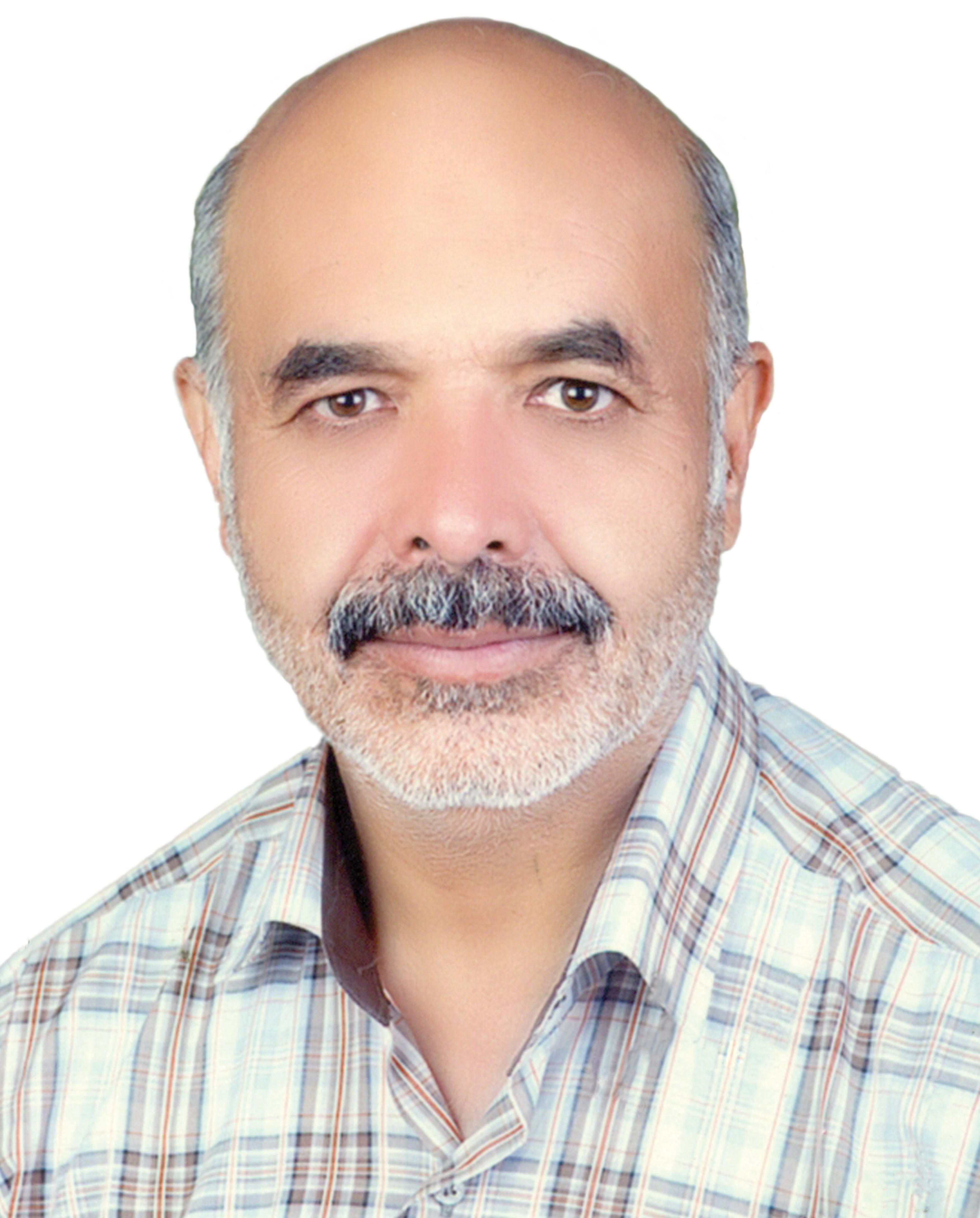 محمد رضا اسلامی